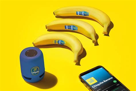 How to Import Music to Spotify and Why Bananas Might Be the Key to Perfect Playlists