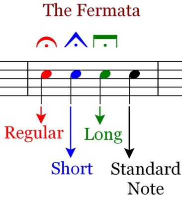 What is a Fermata in Music, and Why Does It Feel Like a Musical Comma?