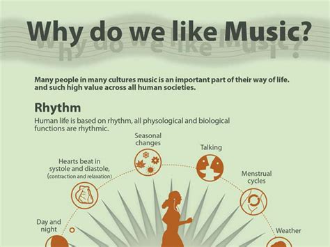 Why Do Humans Like Music: A Multifaceted Exploration